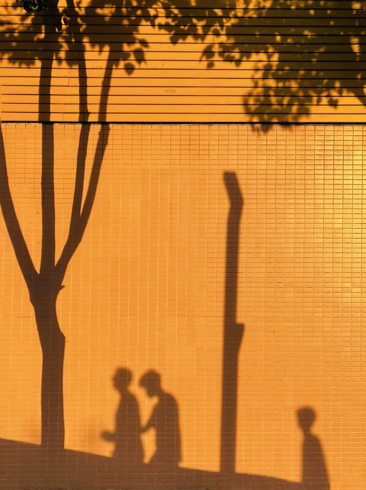 Photograph by Wang Li