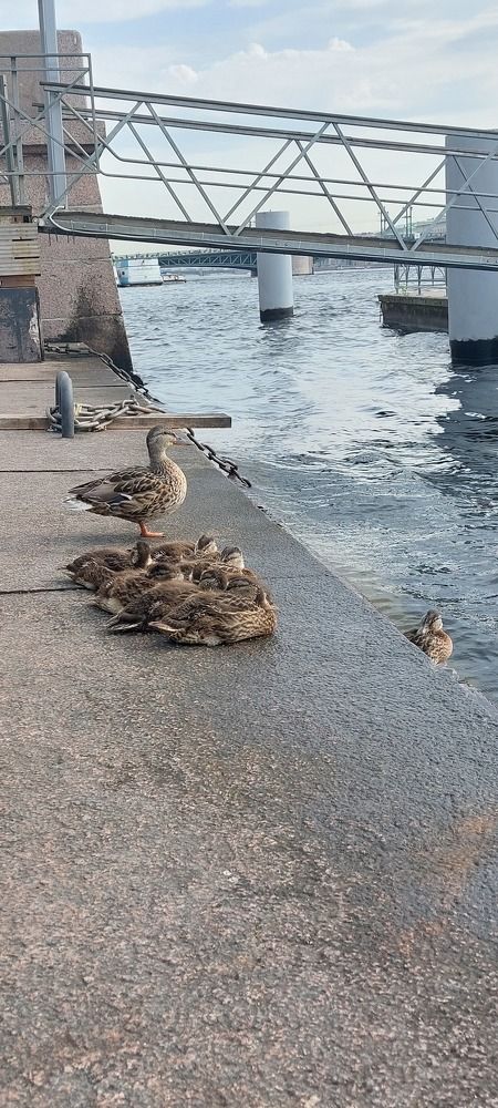 Photograph by Галина Беляева