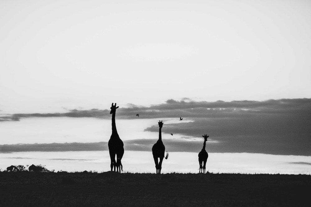 Photograph by Zubair Irshad