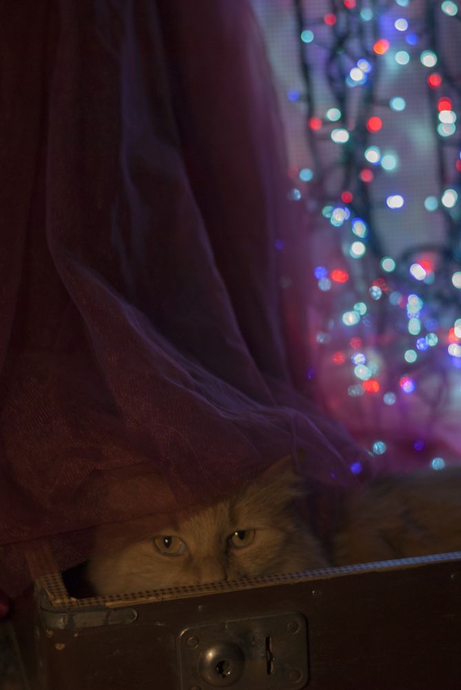 Photograph by Анна Городничева