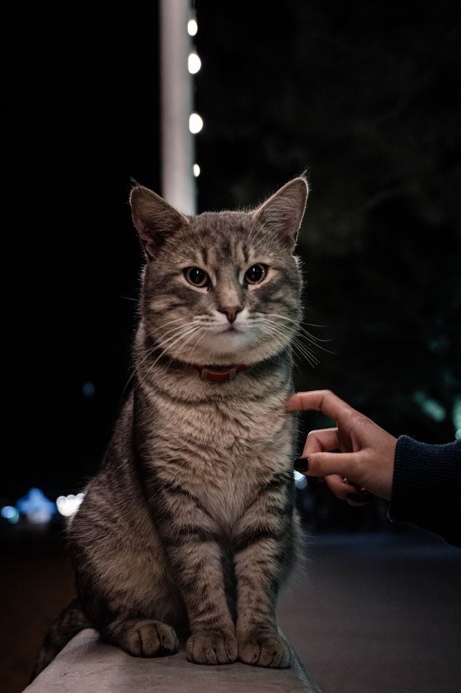 Photograph by Станислав Николаенко
