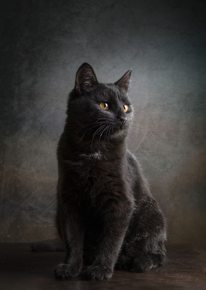 Photograph by Ирина Толокновская