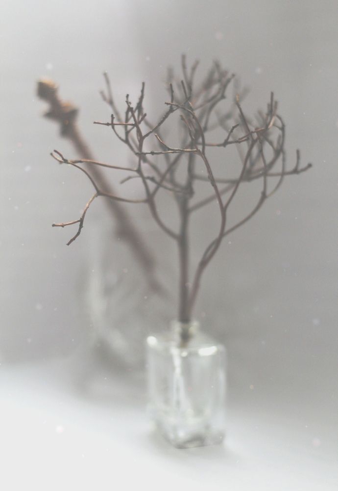 Photograph by Ирина Ахбаш