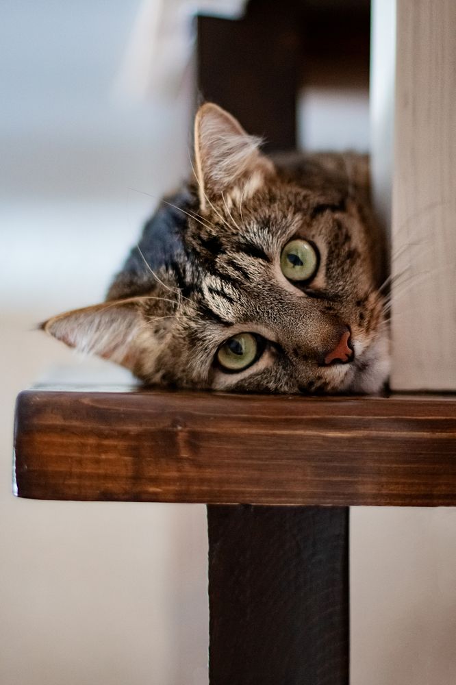 Photograph by Ольга Щерба