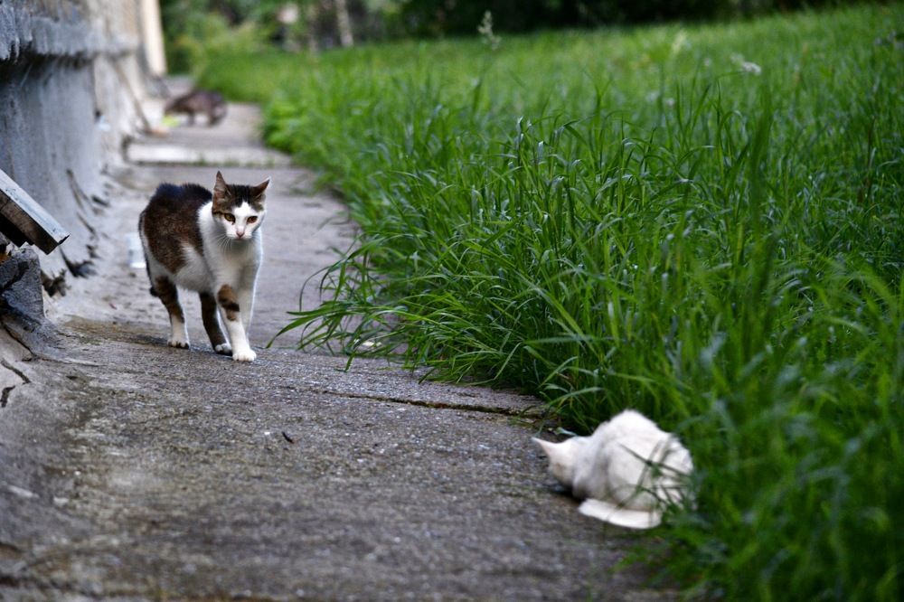 Photograph by Валерия Бердникова