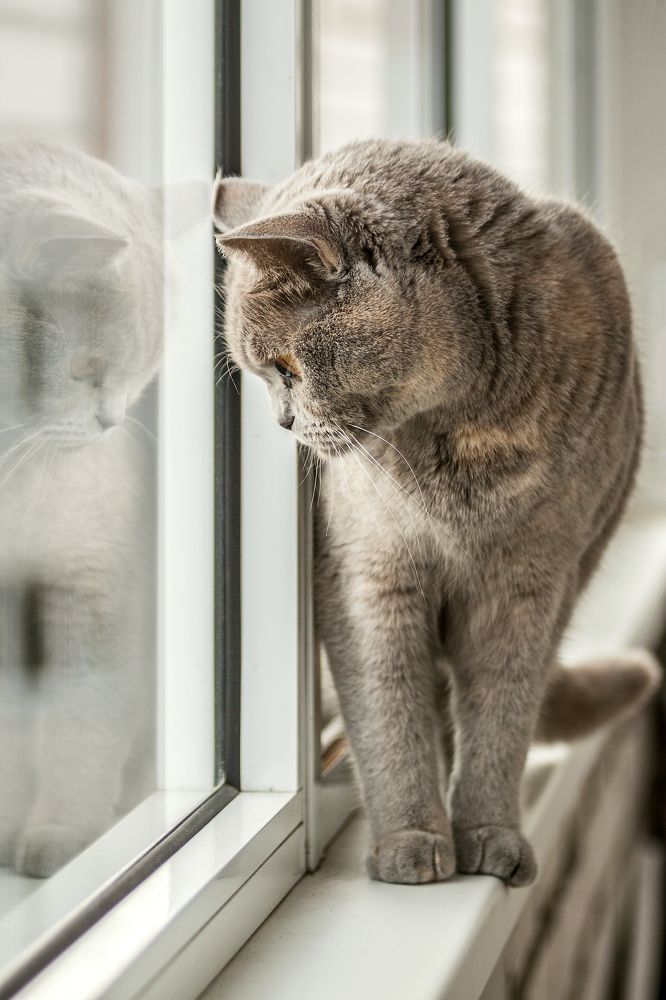 Photograph by Сергей Брызгалов