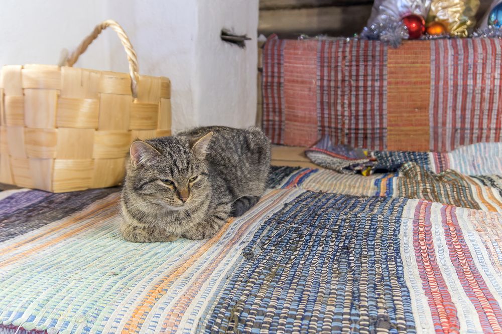 Photograph by Сергей Брызгалов