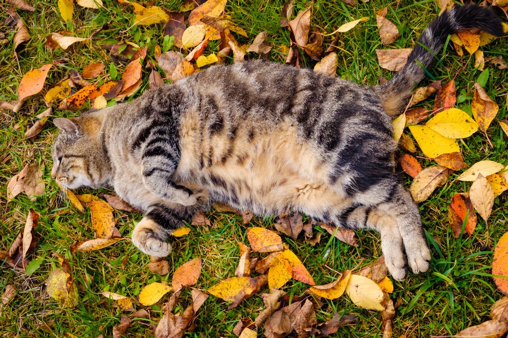 Photograph by Наталия Морозова