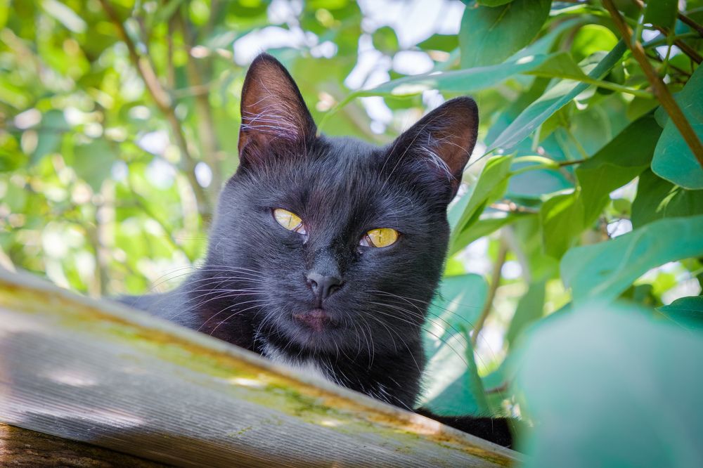 Photograph by Наталия Морозова