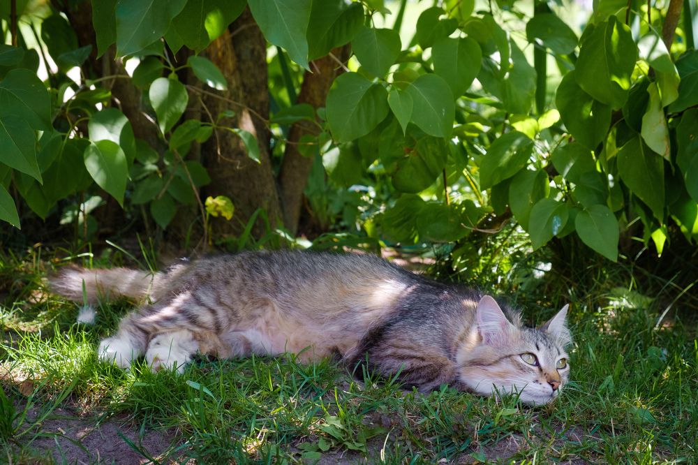 Photograph by Наталия Морозова