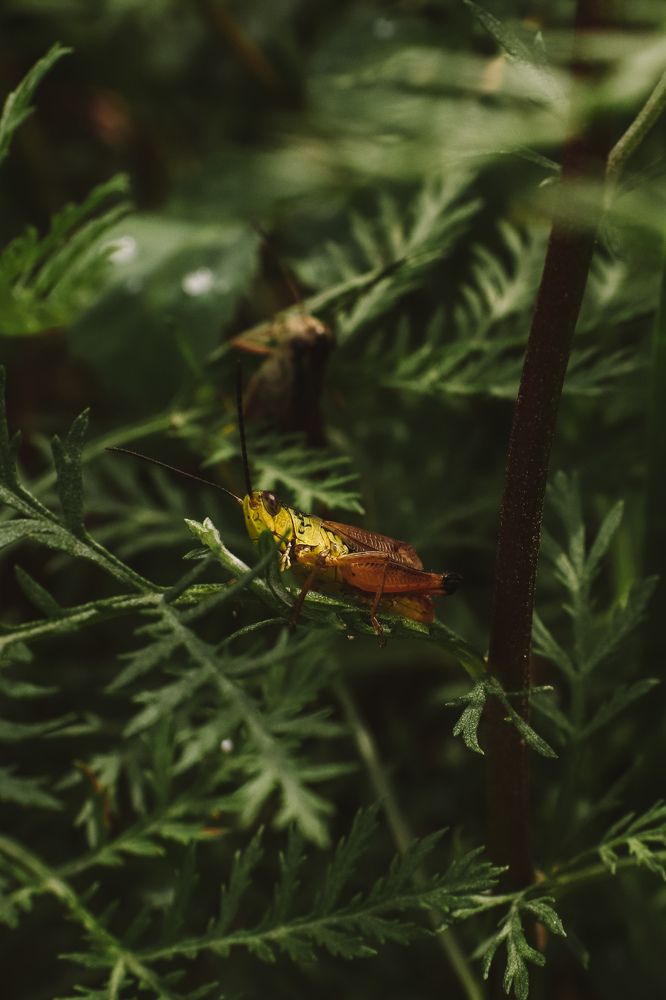 Photograph by Софья Гелевера