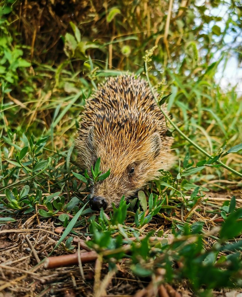 Photograph by Мария Цепилова
