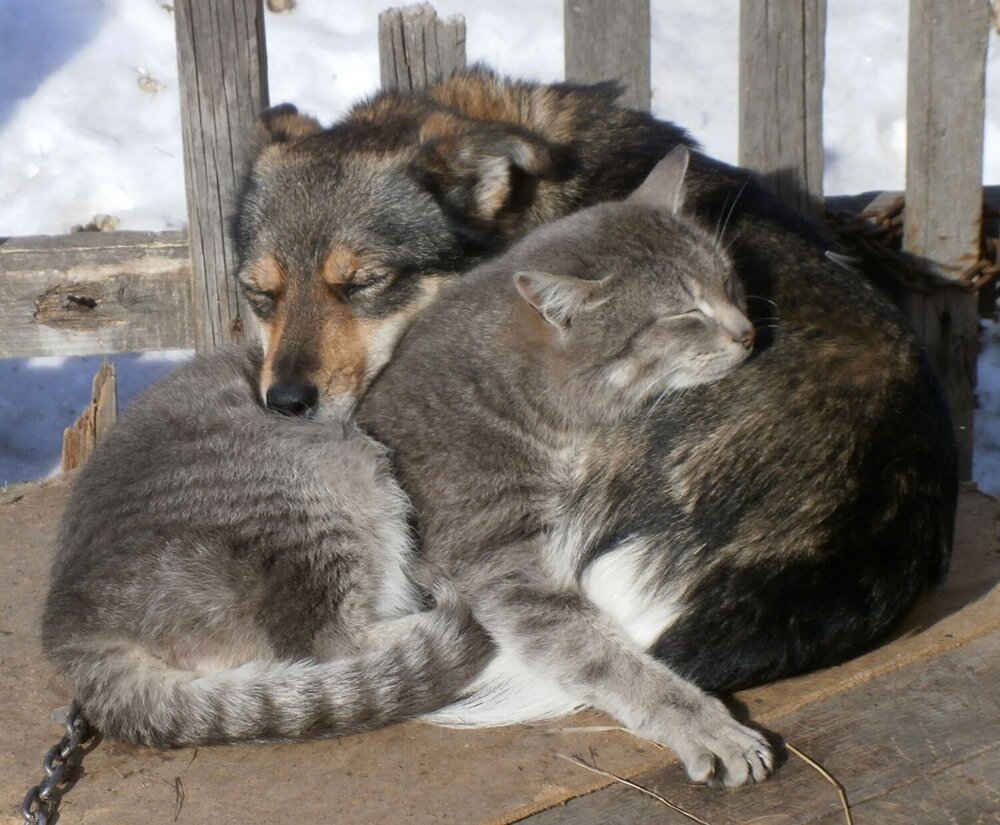 Photograph by Андрей Казанкин