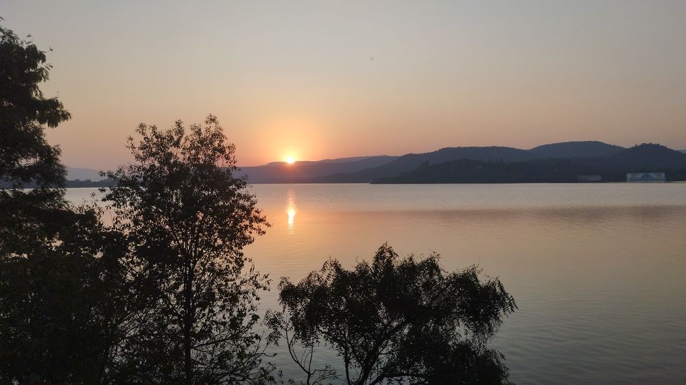 Photo #8760366