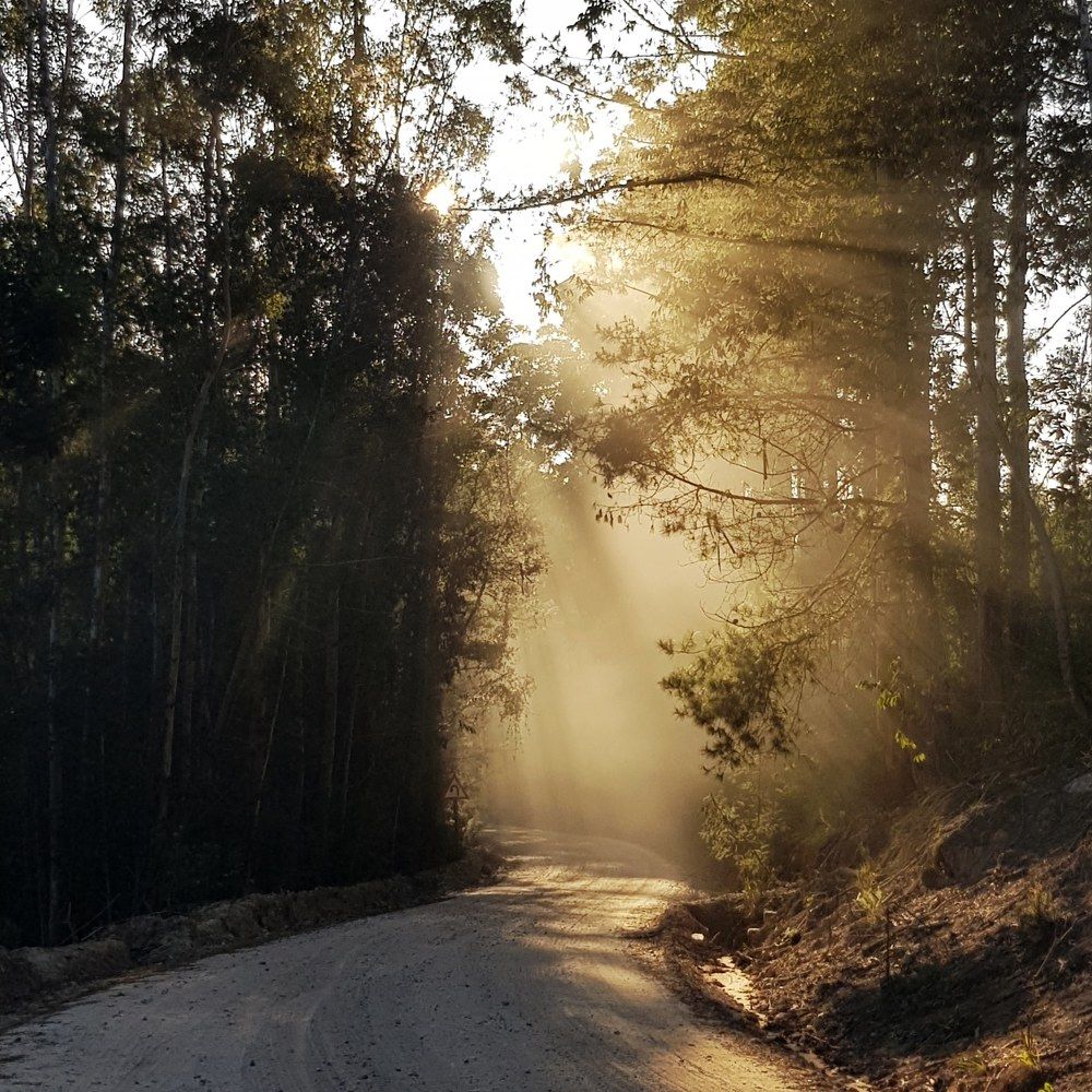 Photograph by Tanja Bantjes