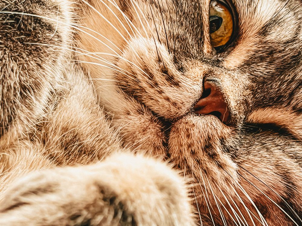 Photograph by Tatiana Chernaletskaya