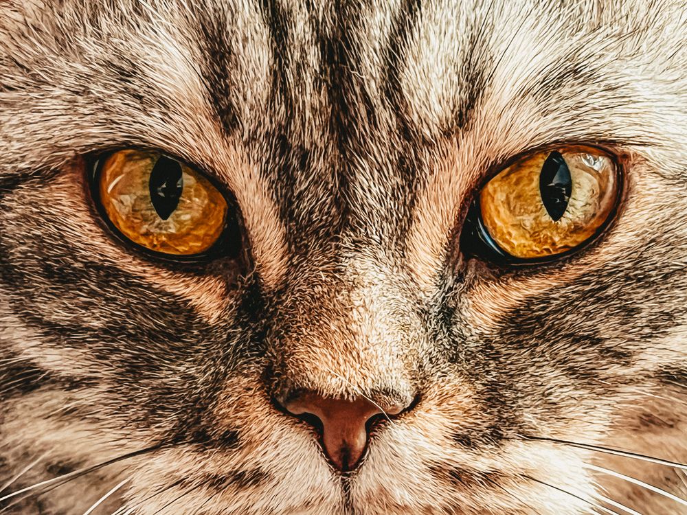 Photograph by Tatiana Chernaletskaya