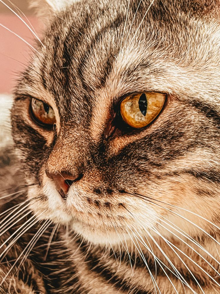 Photograph by Tatiana Chernaletskaya