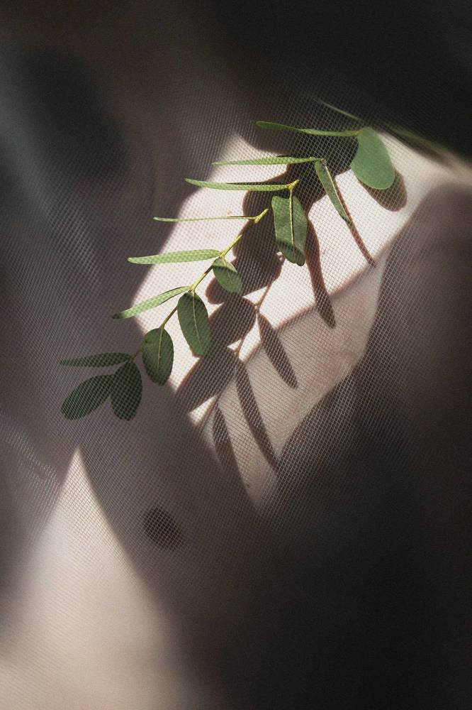 Фотография автора Оксана Мерзликина