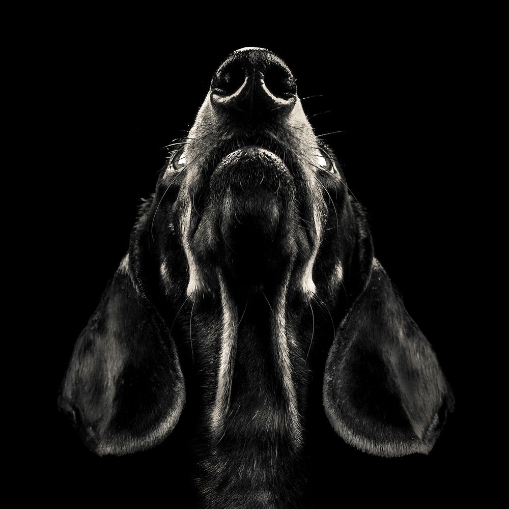 Фотография автора Оксана Серова