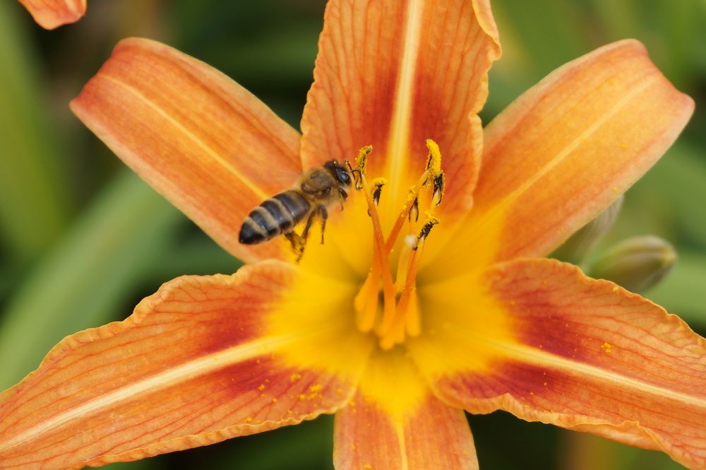 Photograph by Маргарита