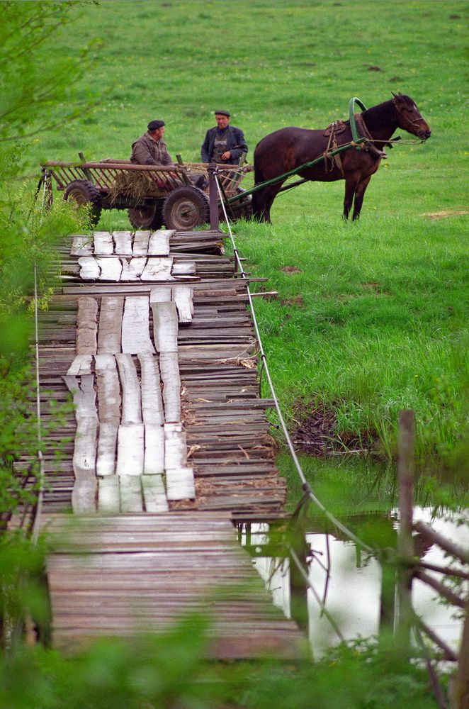 Мостик через реку Западная Березина