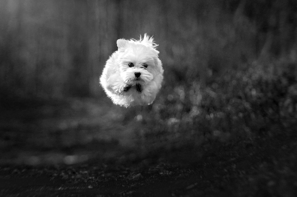 Photograph by Оксана Серова