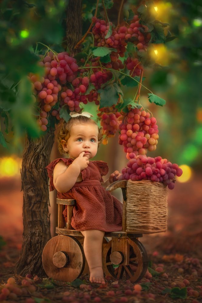 Photograph by yarden kaplan