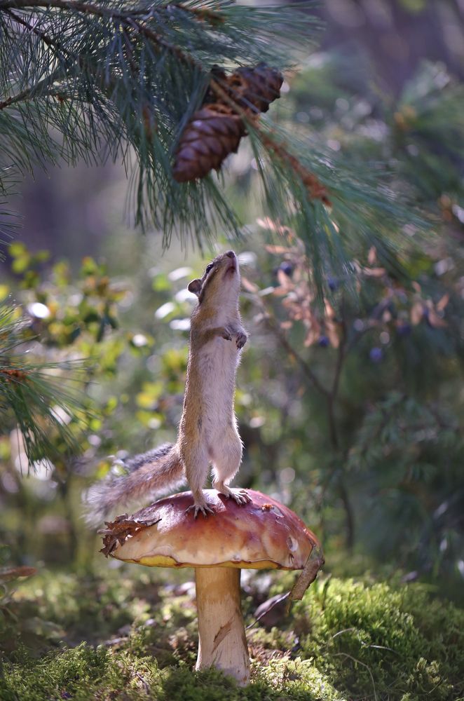 Photograph by Евгения Левина