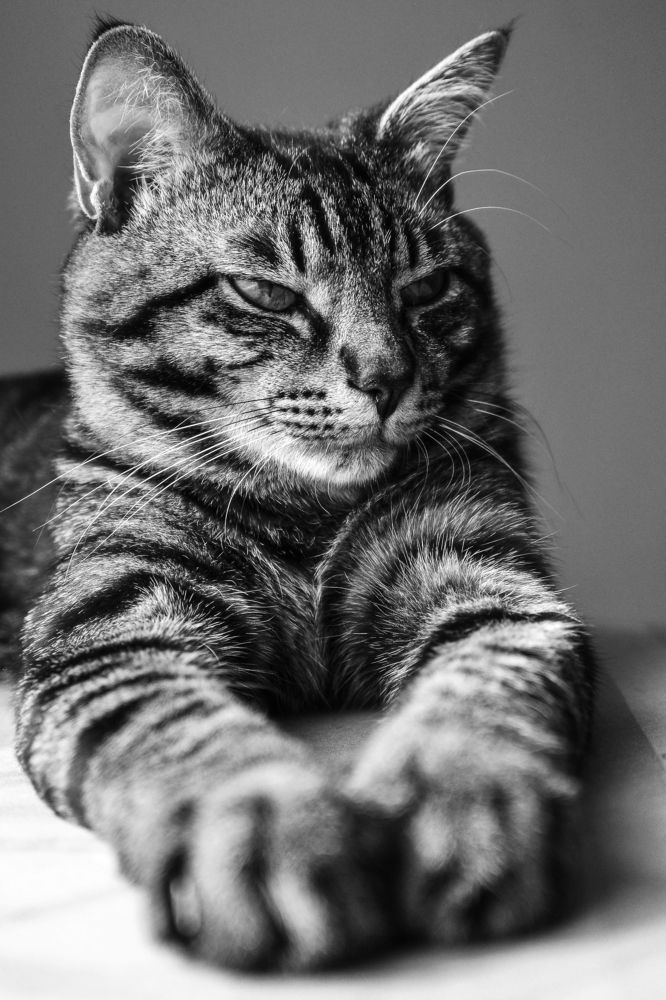 Photograph by Евгений Житников