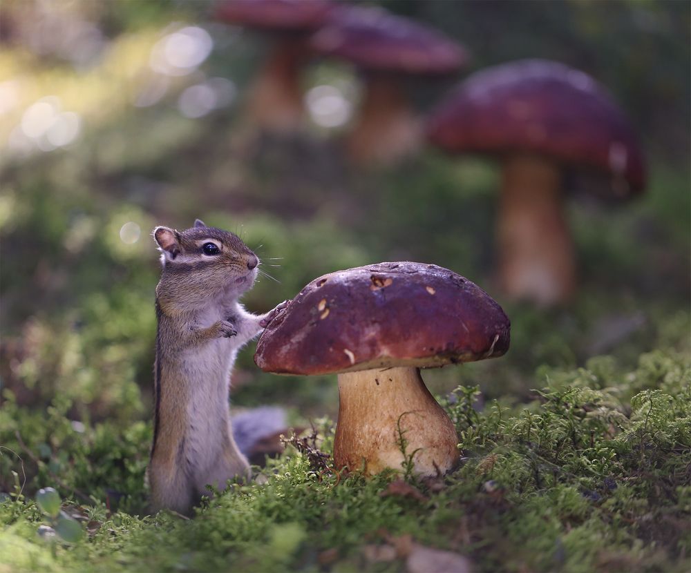 Photograph by Евгения Левина