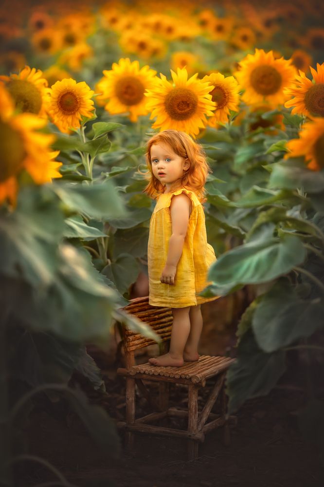 Photograph by yarden kaplan