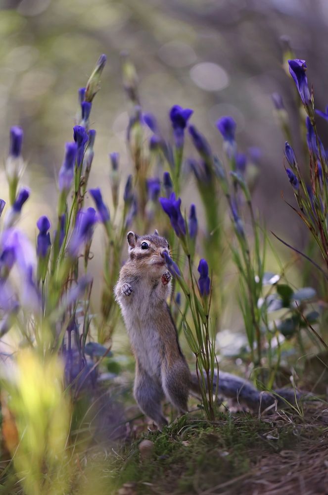 Photograph by Евгения Левина