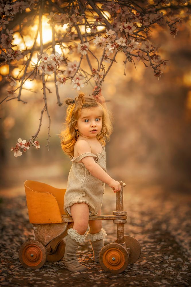 Photograph by yarden kaplan