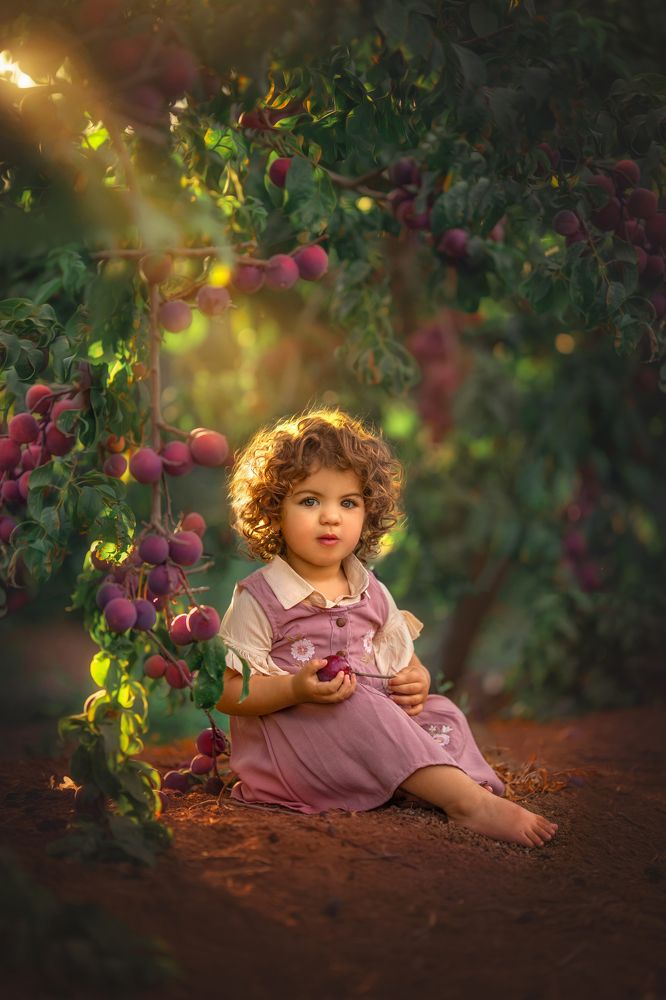 Photograph by yarden kaplan