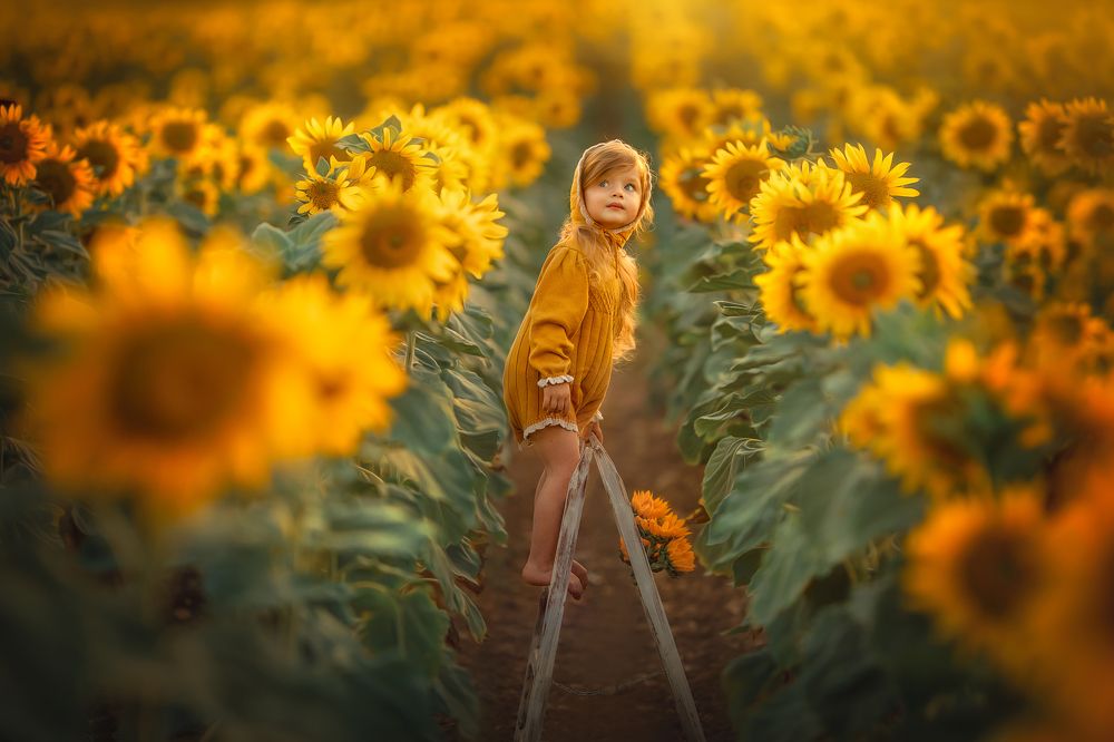 Photograph by yarden kaplan