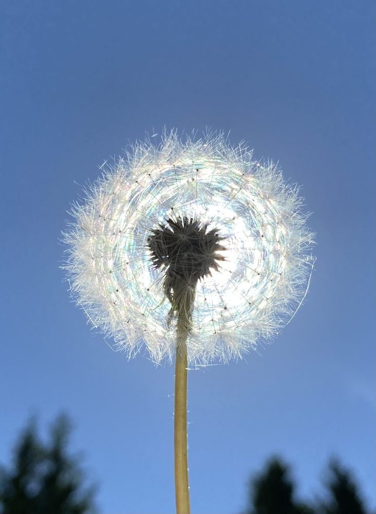 Photograph by Екатерина Антонова