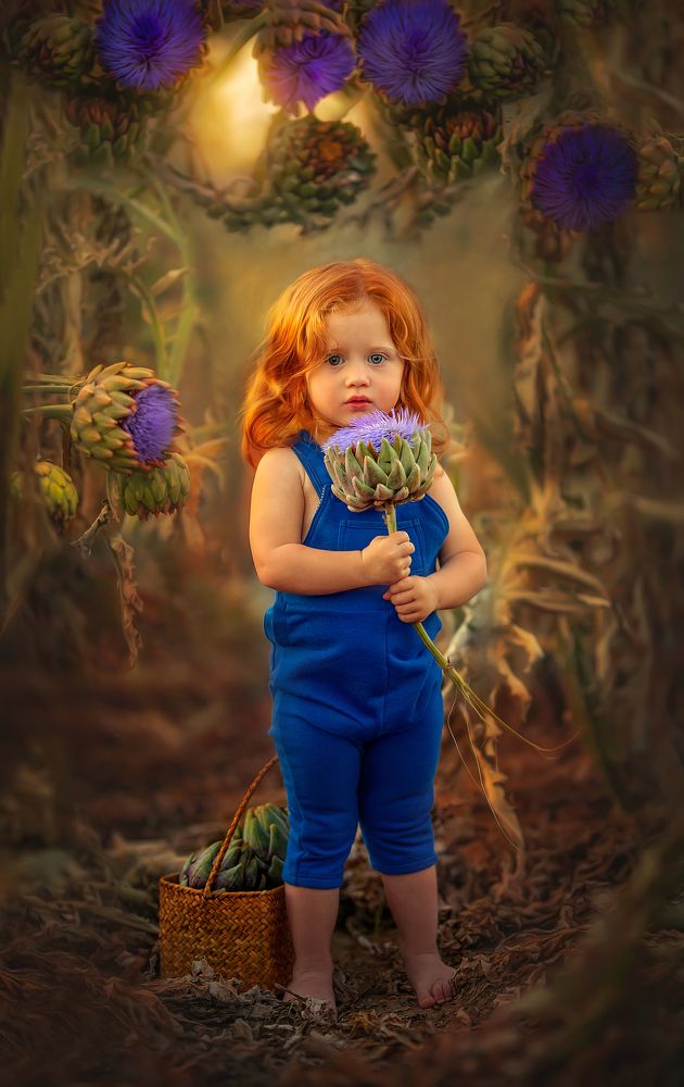 Photograph by yarden kaplan