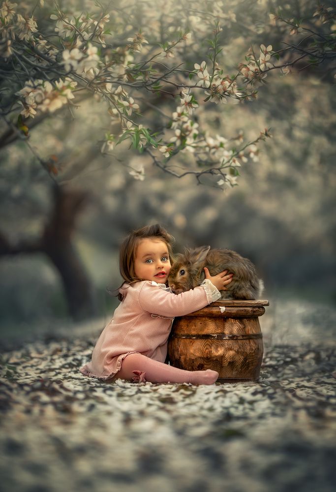 Photograph by yarden kaplan