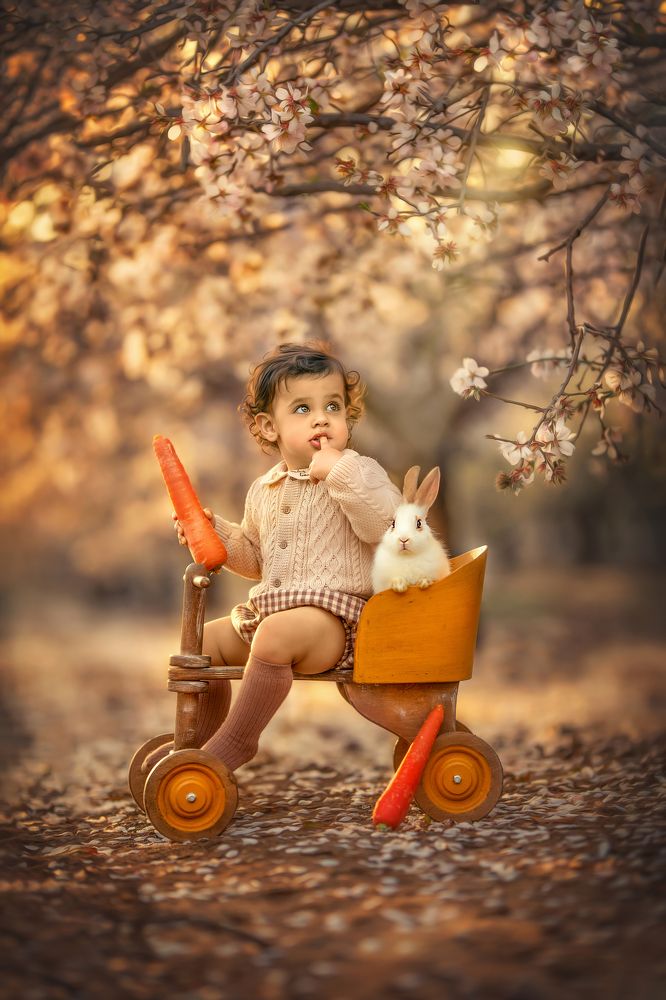 Photograph by yarden kaplan