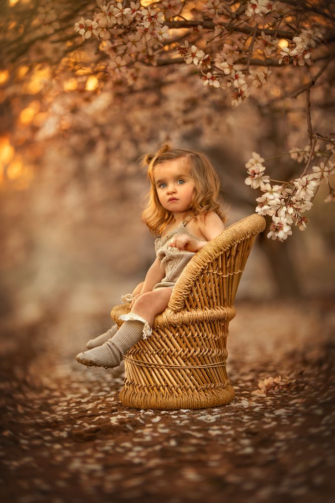 Photograph by yarden kaplan