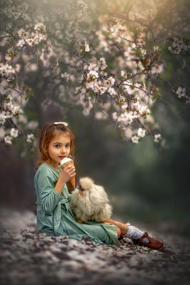 Photograph by yarden kaplan