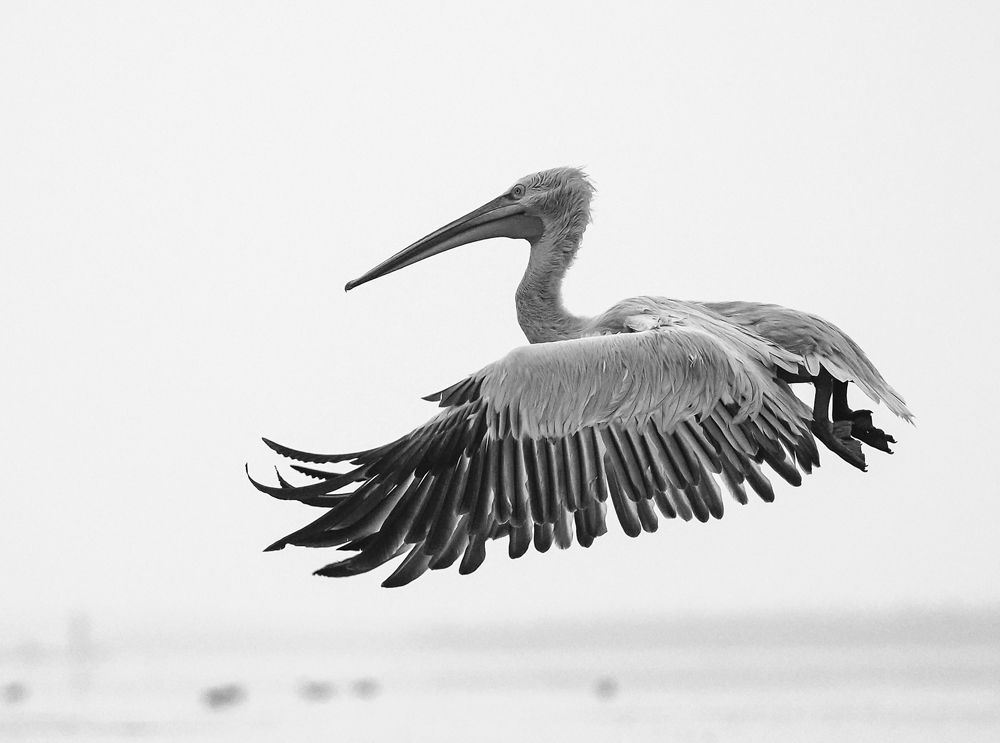 Photograph by Hardeep Solanki