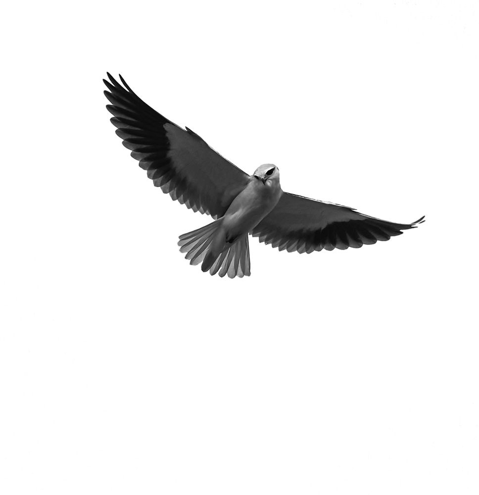 Photograph by Hardeep Solanki