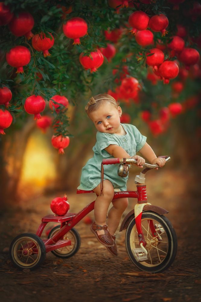 Photograph by yarden kaplan