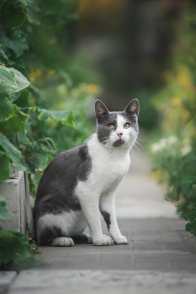 Photograph by Курашкина Анна