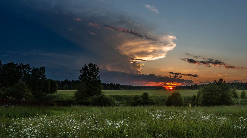 ПОДАРОК НЕБЕС