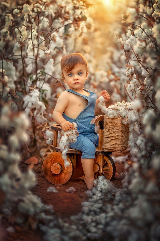 Photograph by yarden kaplan