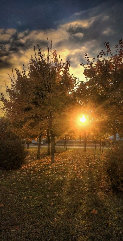 Photograph by Надежда