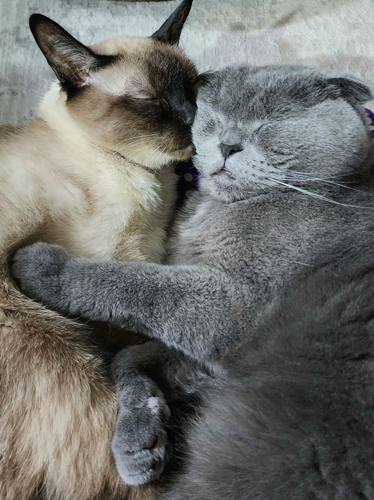 Photograph by Басалаев Евгений